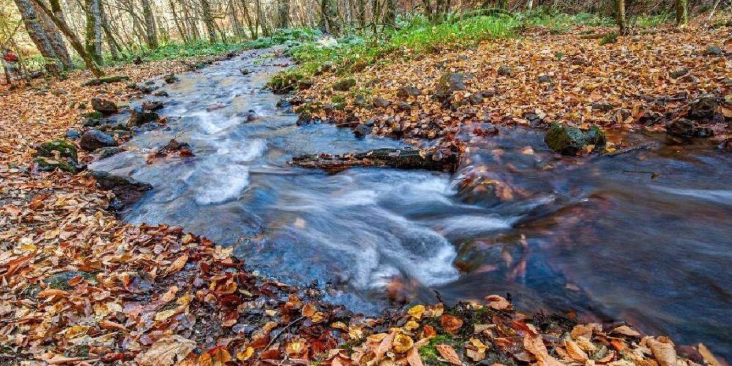 Eylül ayı bitmeden kendinizi buraya atın! Bu görüntüler bir daha gelmez: Giden doğasına hayran kalıyor 3